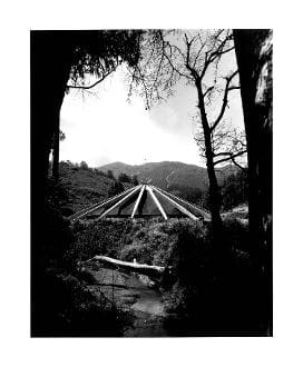 A black and white photo of an area with trees.