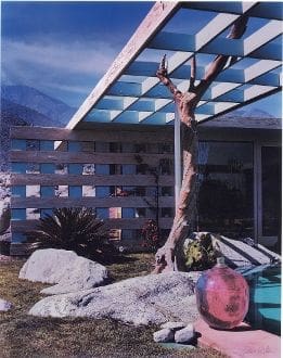 A tree in front of a building with a blue sky.