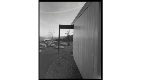 Julius Shulman - "Singleton House." Bel Air (Los Angeles) Ca. Richard Neutra. 1960