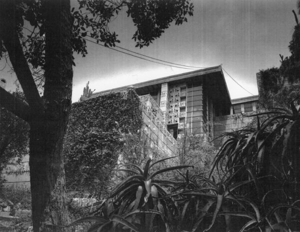 Julius Shulman - Original Vintage Print. "Freeman (Samuel) House. Los Angeles, Ca. Frank Lloyd Wright. 1953