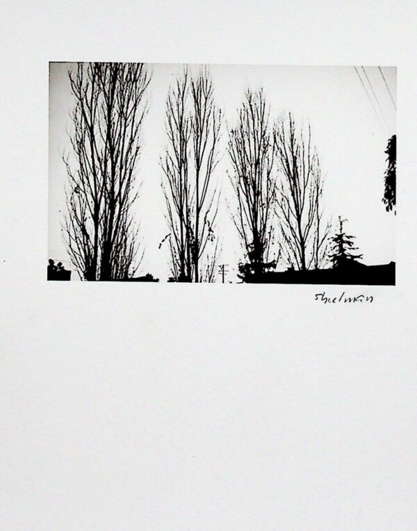 Julius Shulman - Vest Pocket Camera. "The Bare Trees, Los Angeles, Ca. 1937
