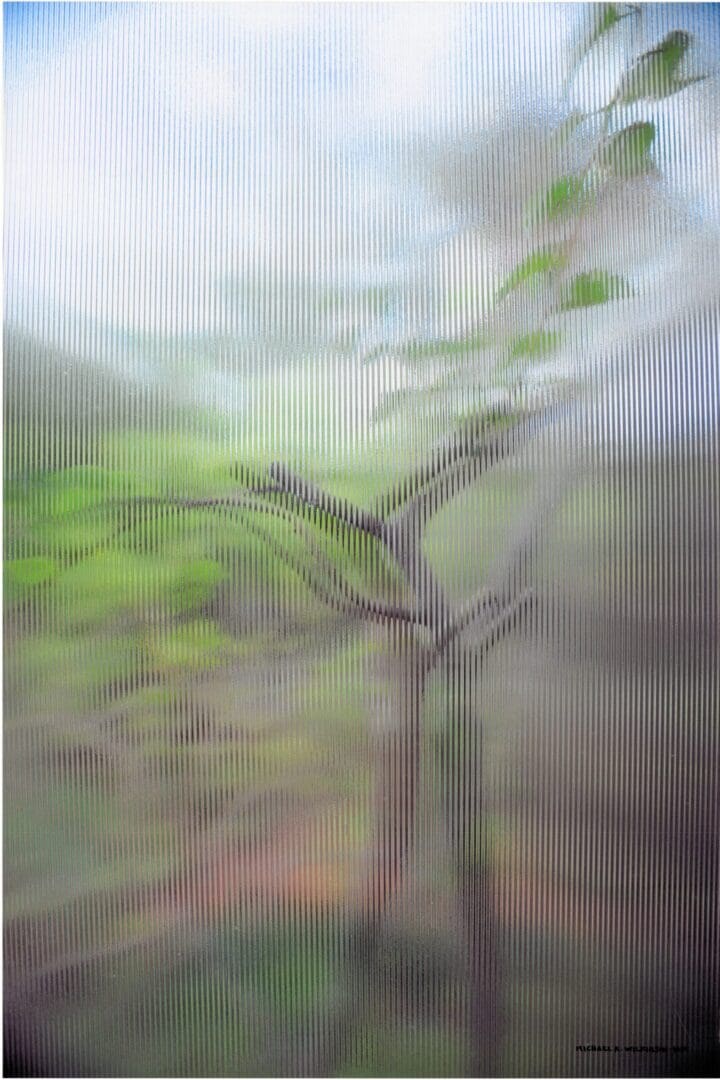 Leafy tree blurred behind vertical-ribbed glass