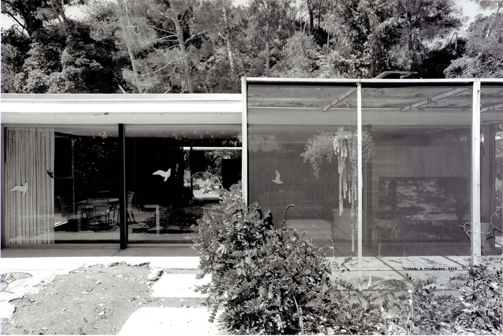 Glass-walled modern house with bird decals